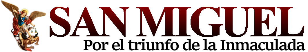 Revista San Miguel